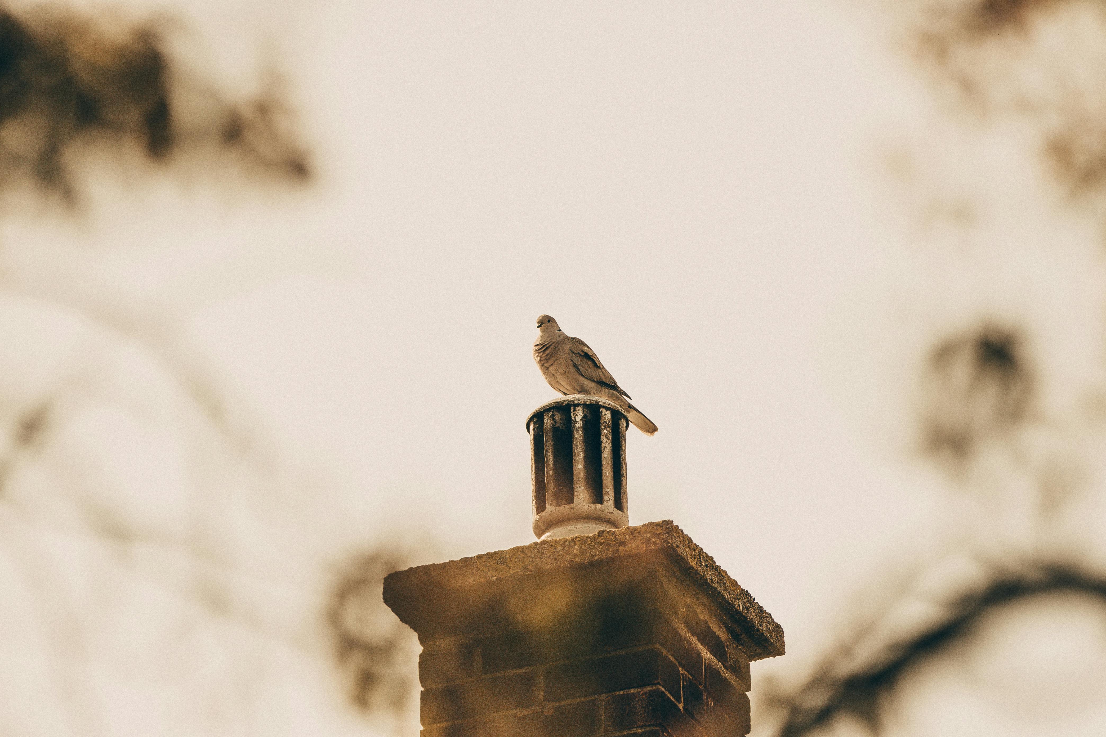 Expert Chimney Cap Installation in La Mirada, California